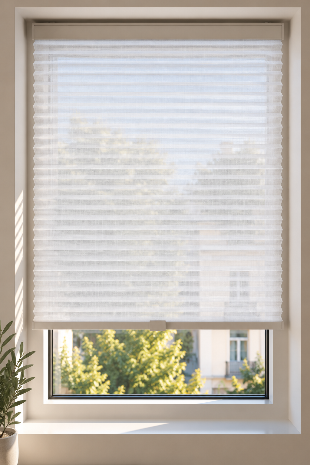 2601 White