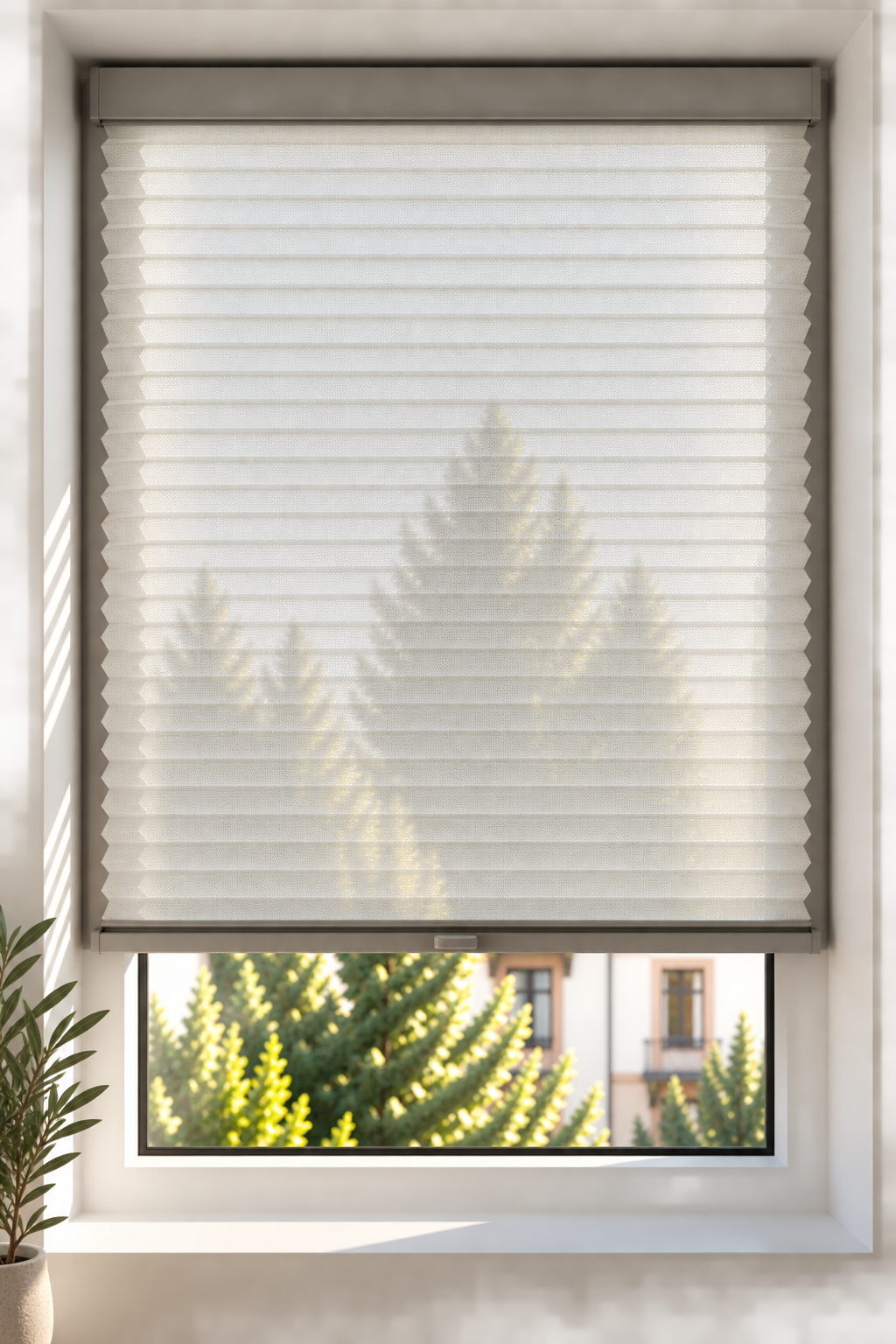 3101 White