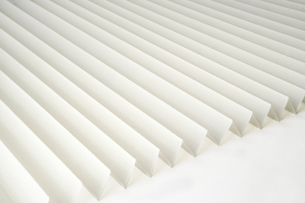 3101 White