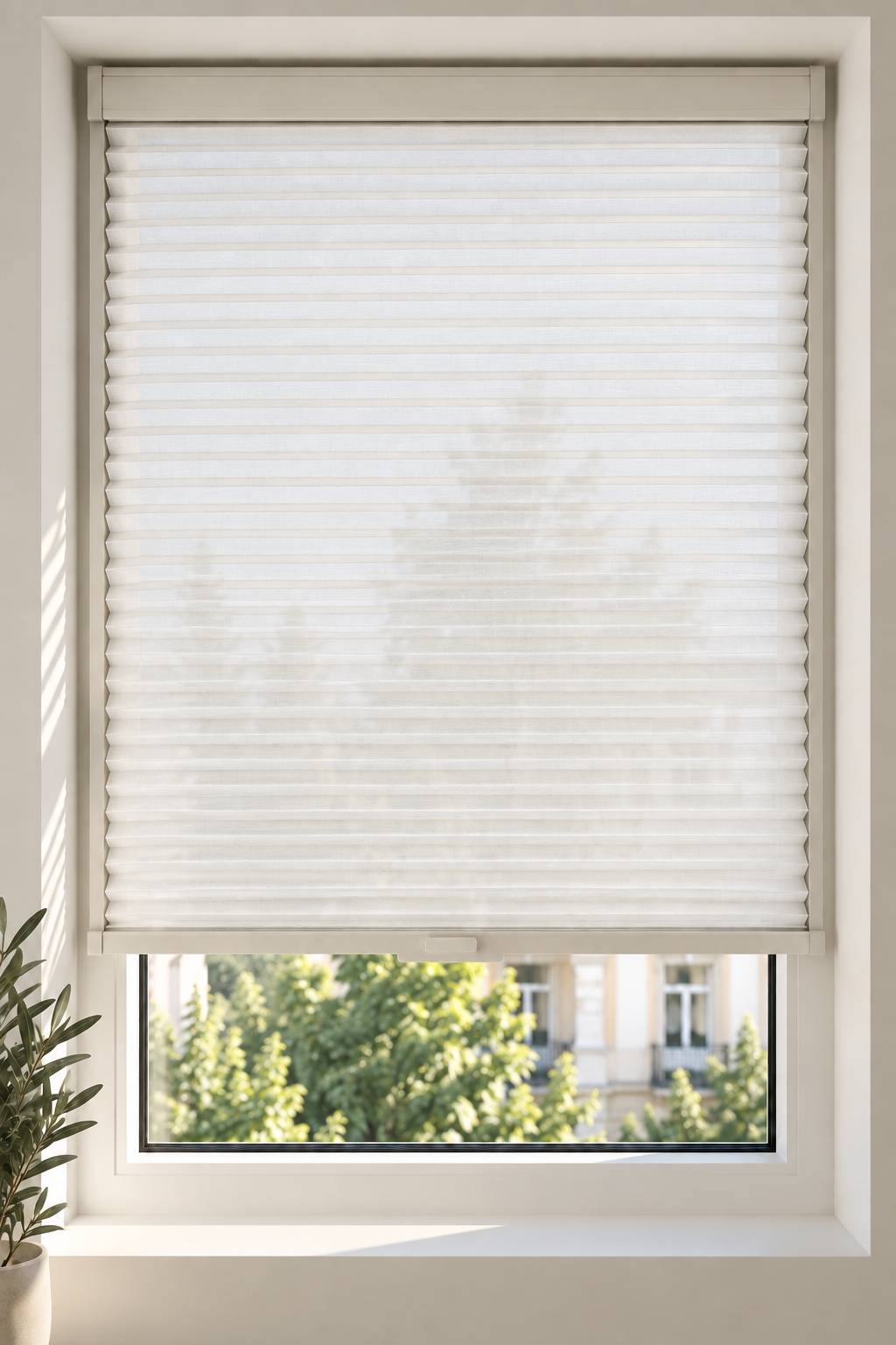 2501 White
